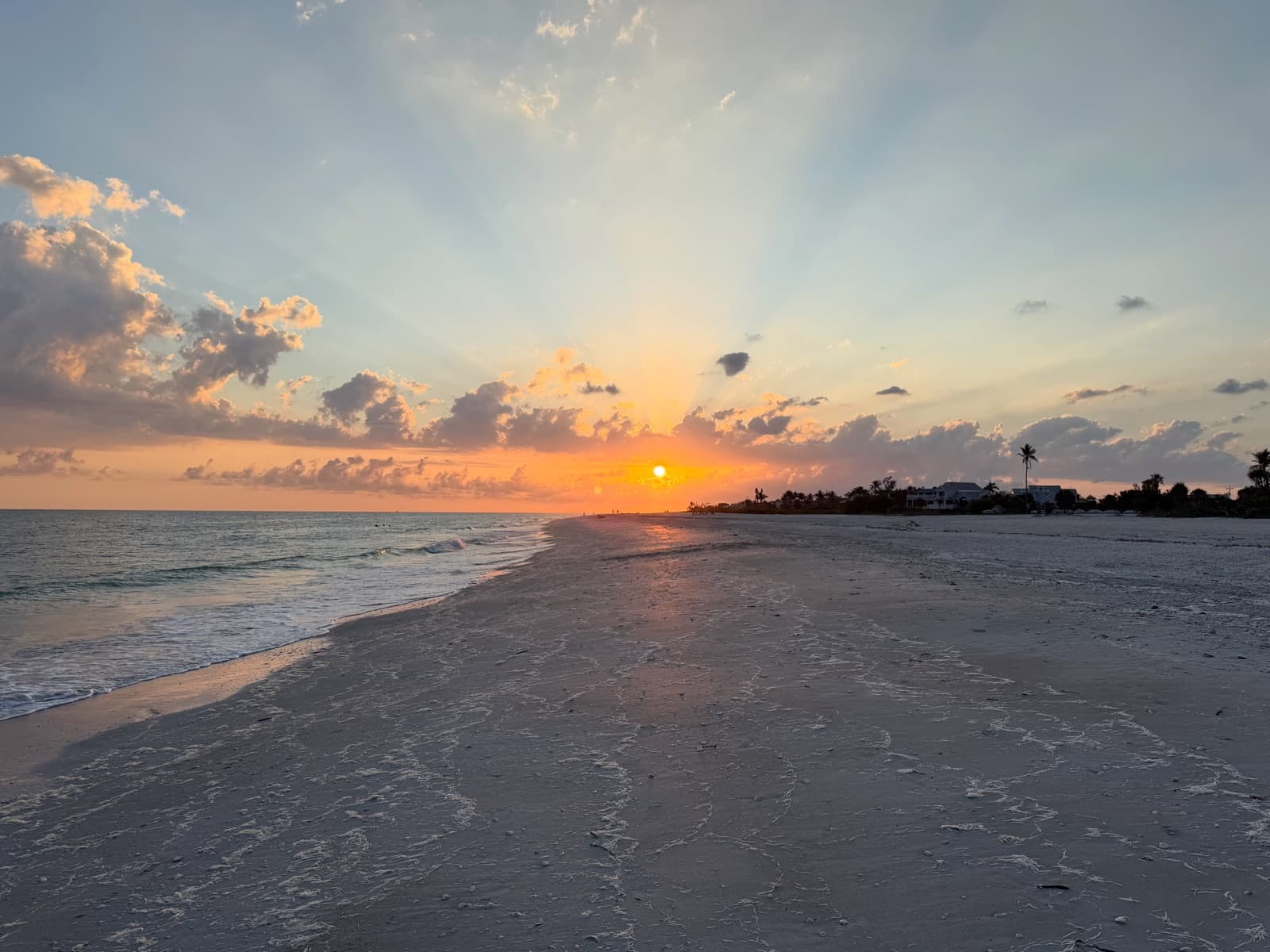 Golden sunset through Sanibel palm trees