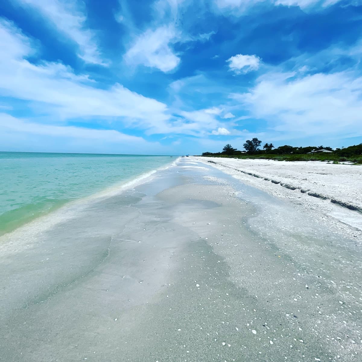 Pristine shoreline on Sanibel Island